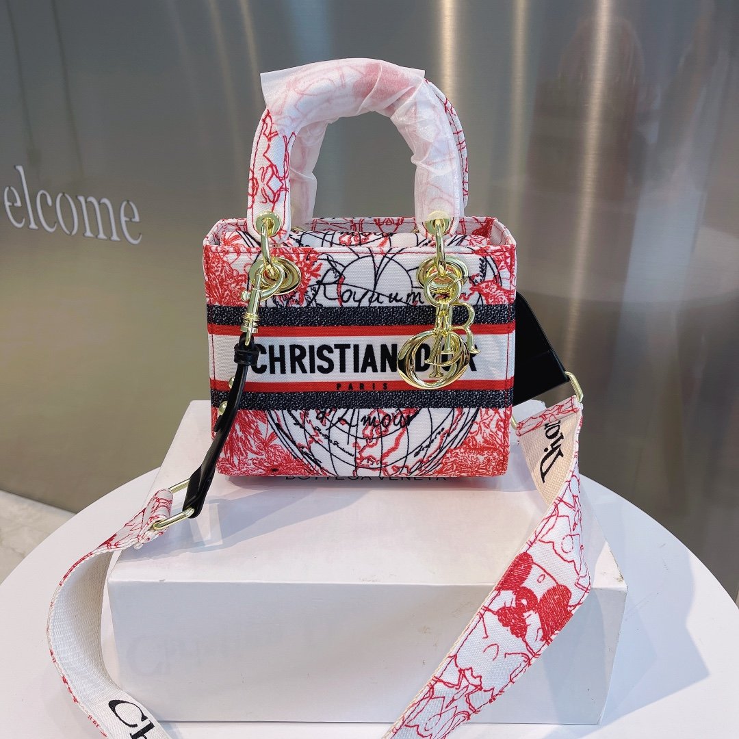 EN - New Arrival Bags Christian Dior 308