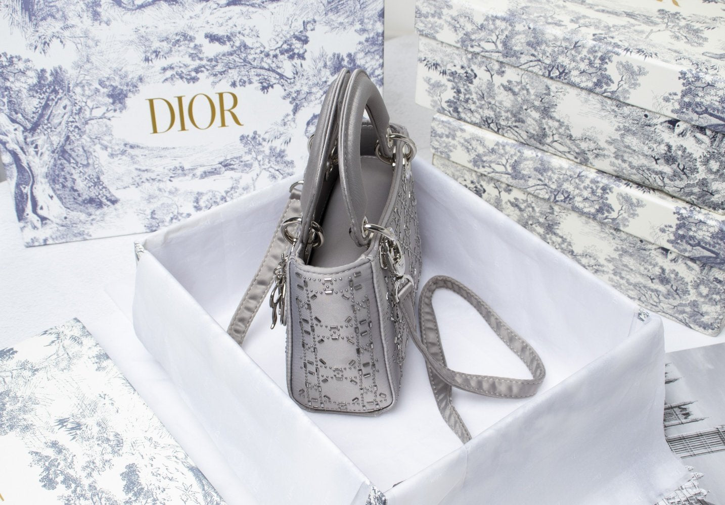 Luxury Handbags Christian Dior 231