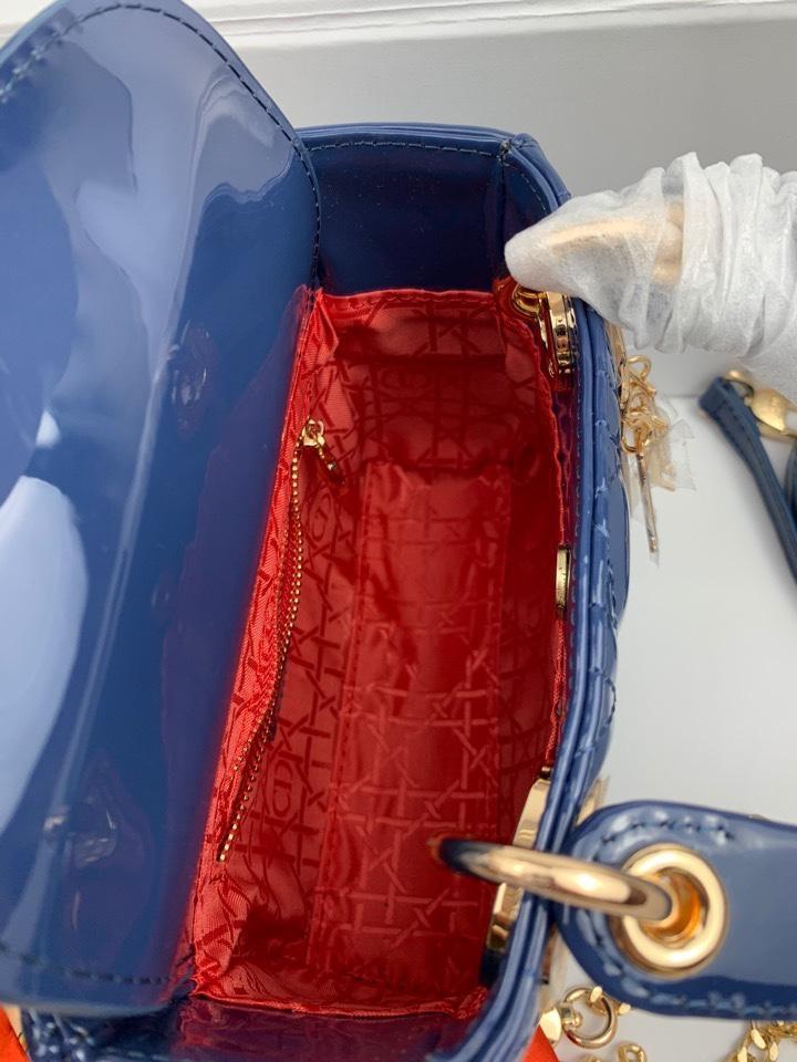 Luxury Handbags Christian Dior 263