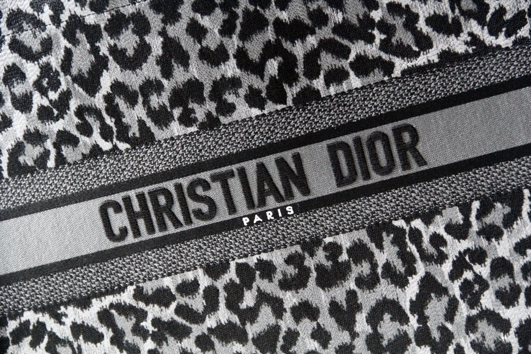 Luxury Handbags Christian Dior 260