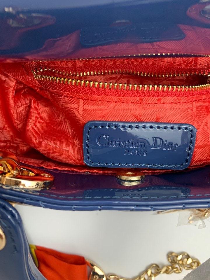 Luxury Handbags Christian Dior 263