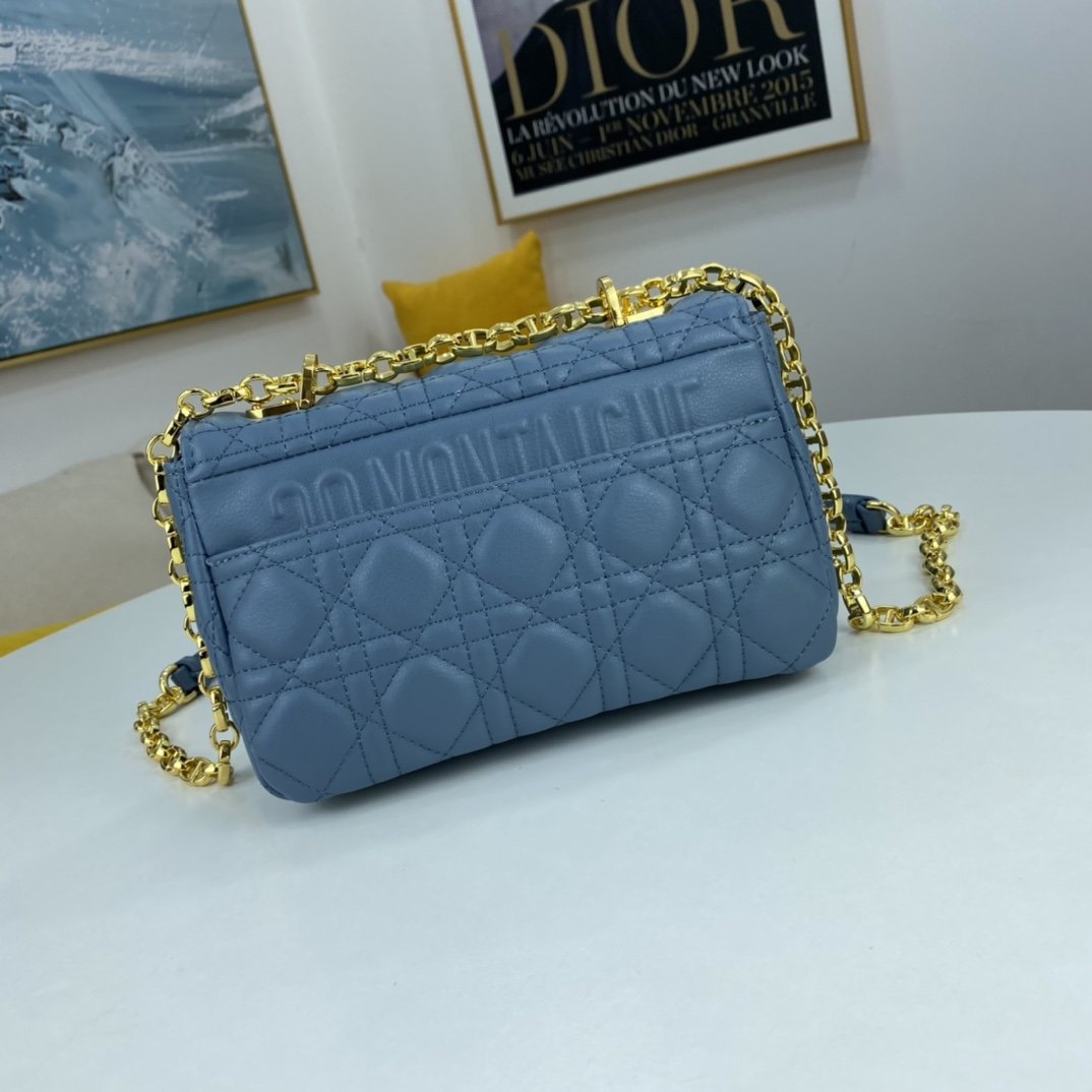 Luxury Handbags Christian Dior 065