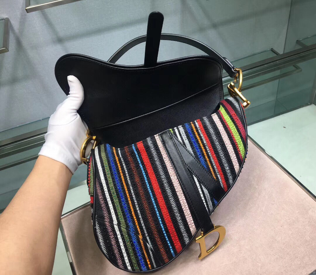 Dior Saddle Canvas Bag Embroidered With Multi-coloured Stripes