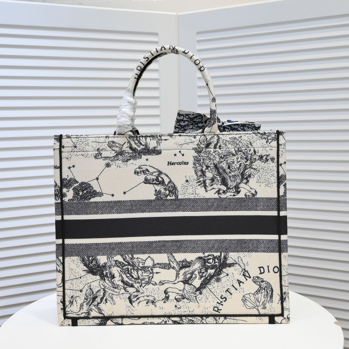 EN - New Arrival Bags Christian Dior 296