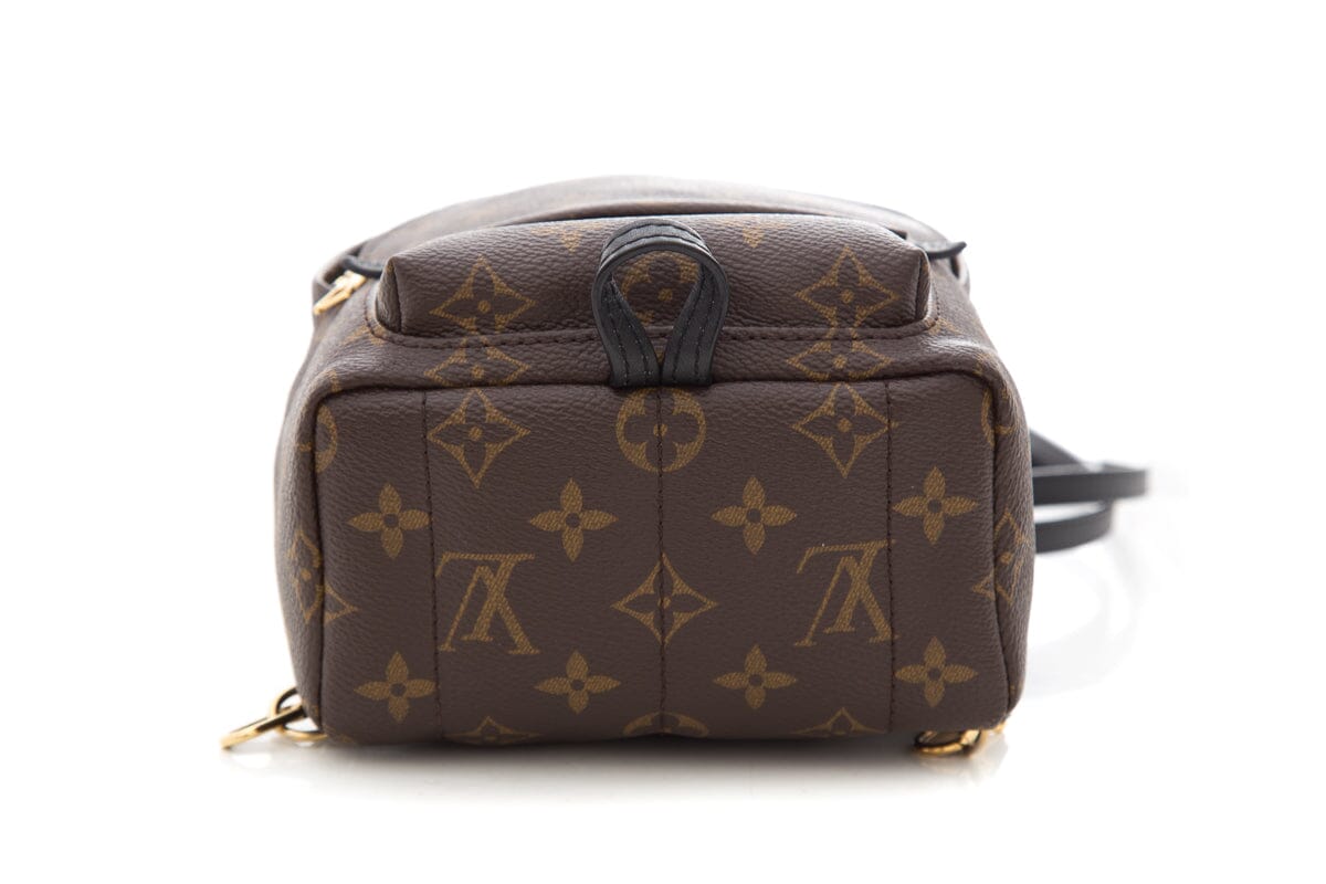 Louis Vuitton Brown Monogram Palm Springs Mini Backpack