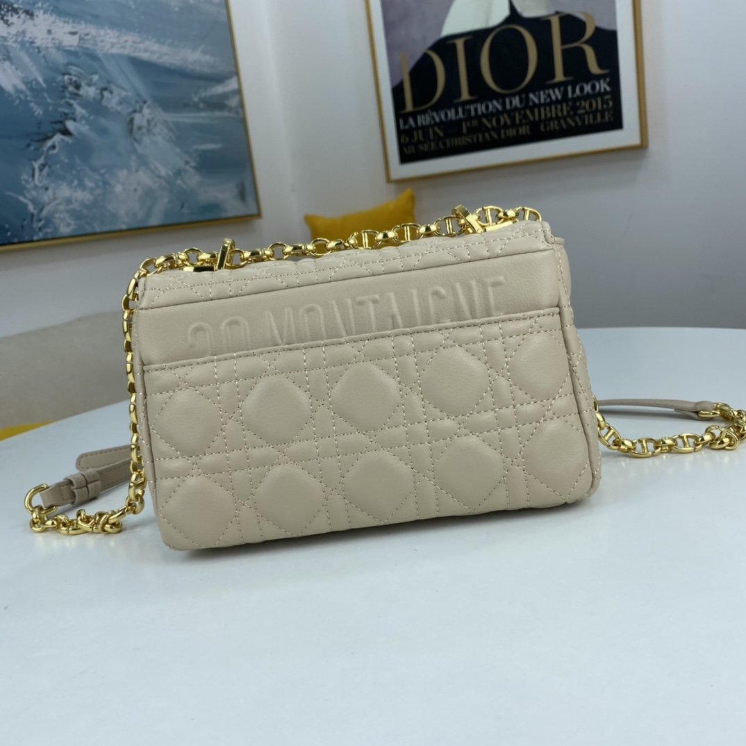 EN - New Arrival Bags Christian Dior 069