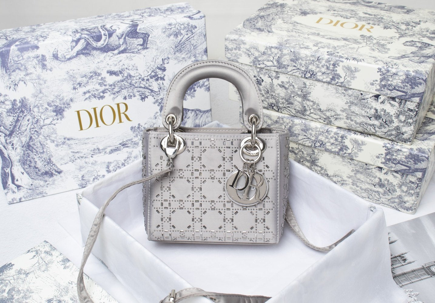 Luxury Handbags Christian Dior 231