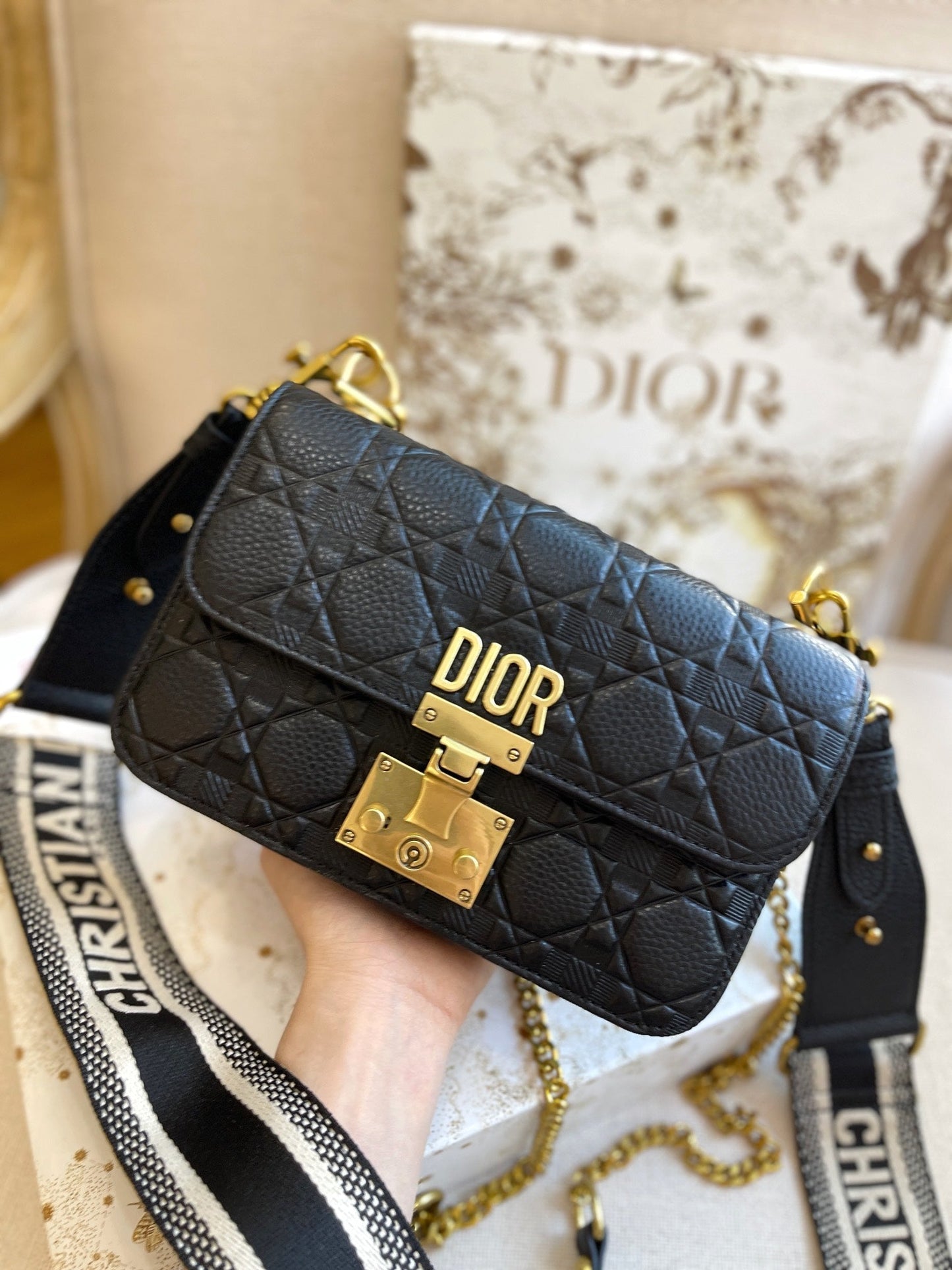 EN - New Lux Bags Christian Dior 347