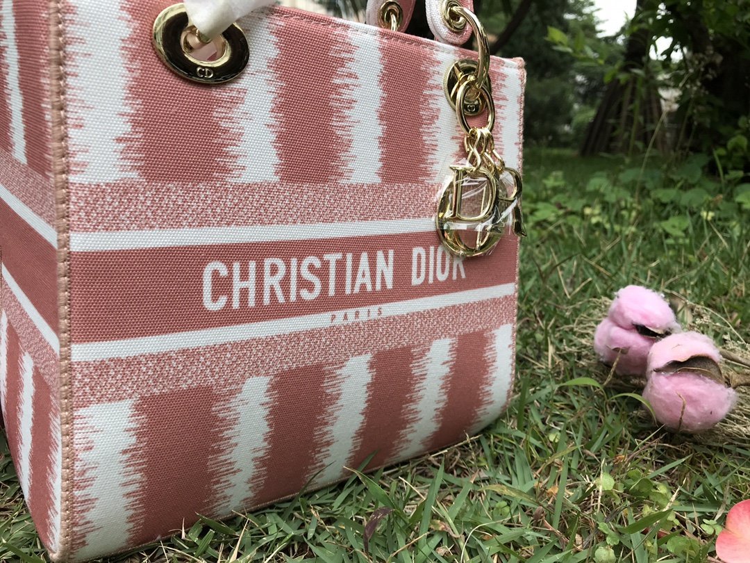 Luxury Handbags Christian Dior 254