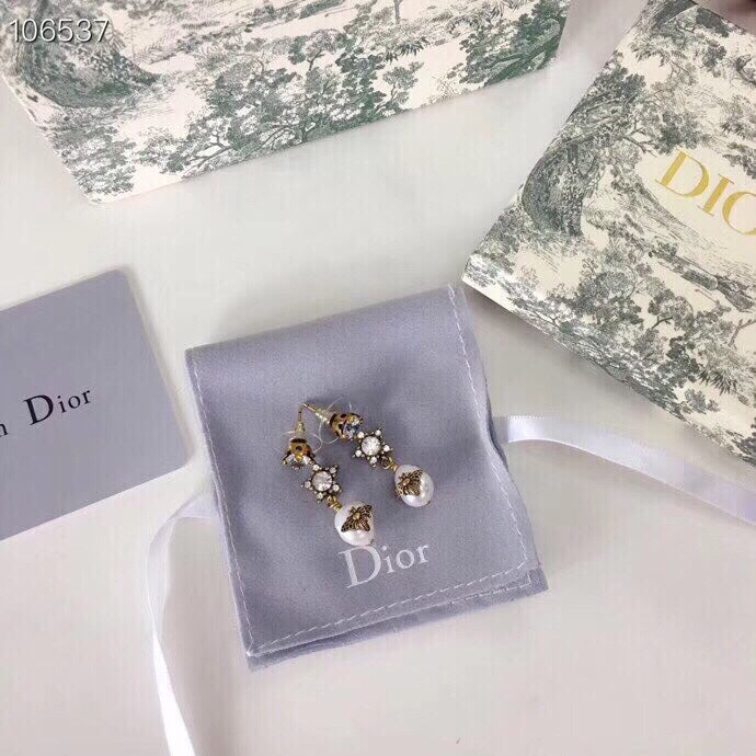 EN - Lux Earring Christian Dior 025