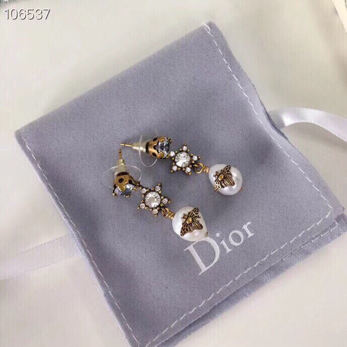 EN - Lux Earring Christian Dior 025