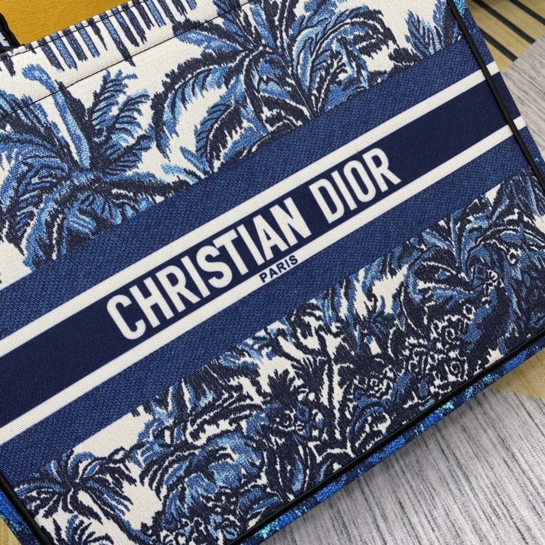 EN - New Arrival Bags Christian Dior 064