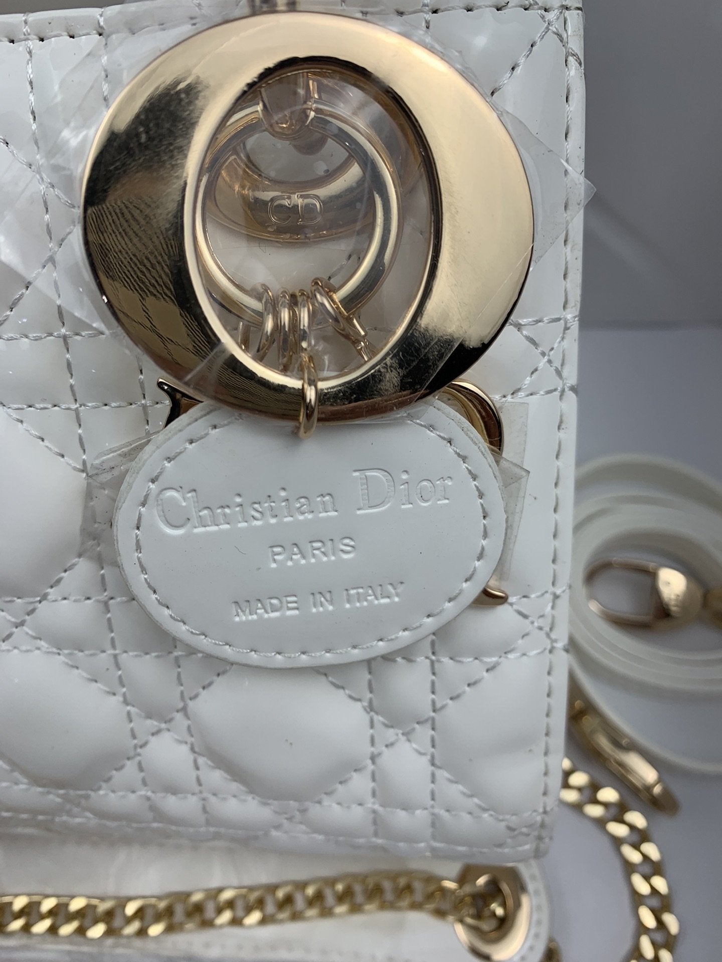 Luxury Handbags Christian Dior 261