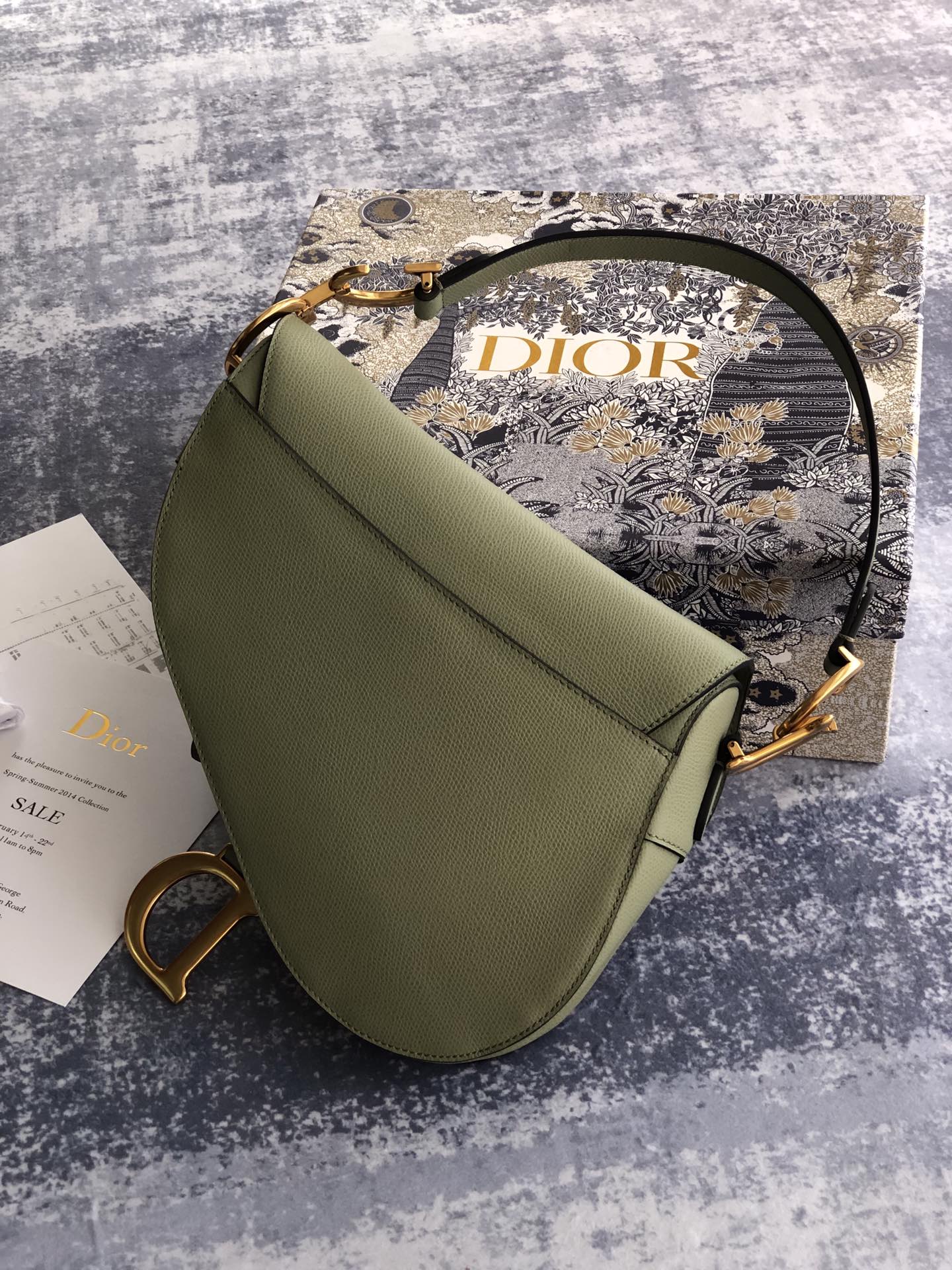 DIR - Luxury Bags - DIR - 824