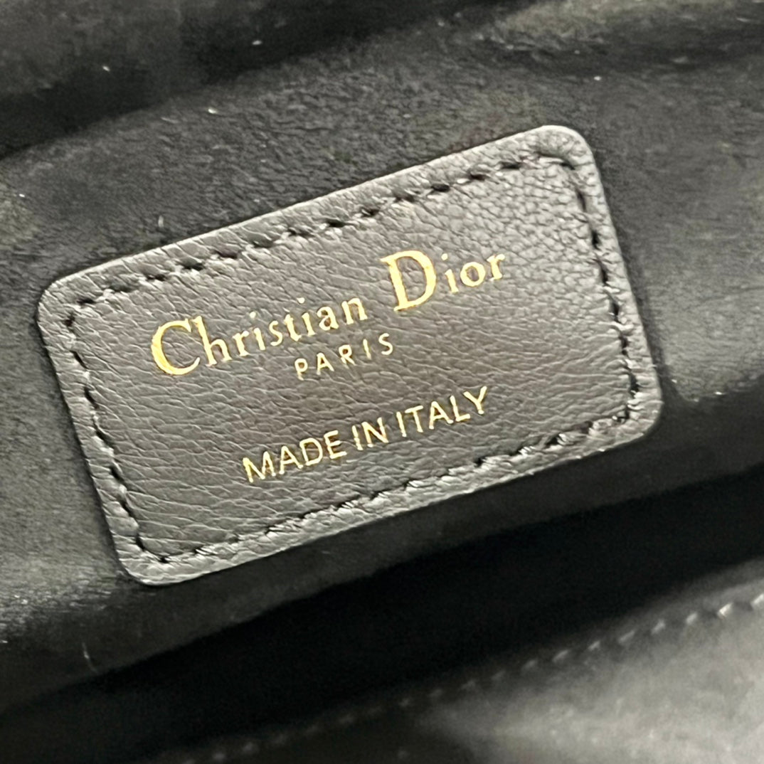 BA- Luxury Bags - Dior - 009