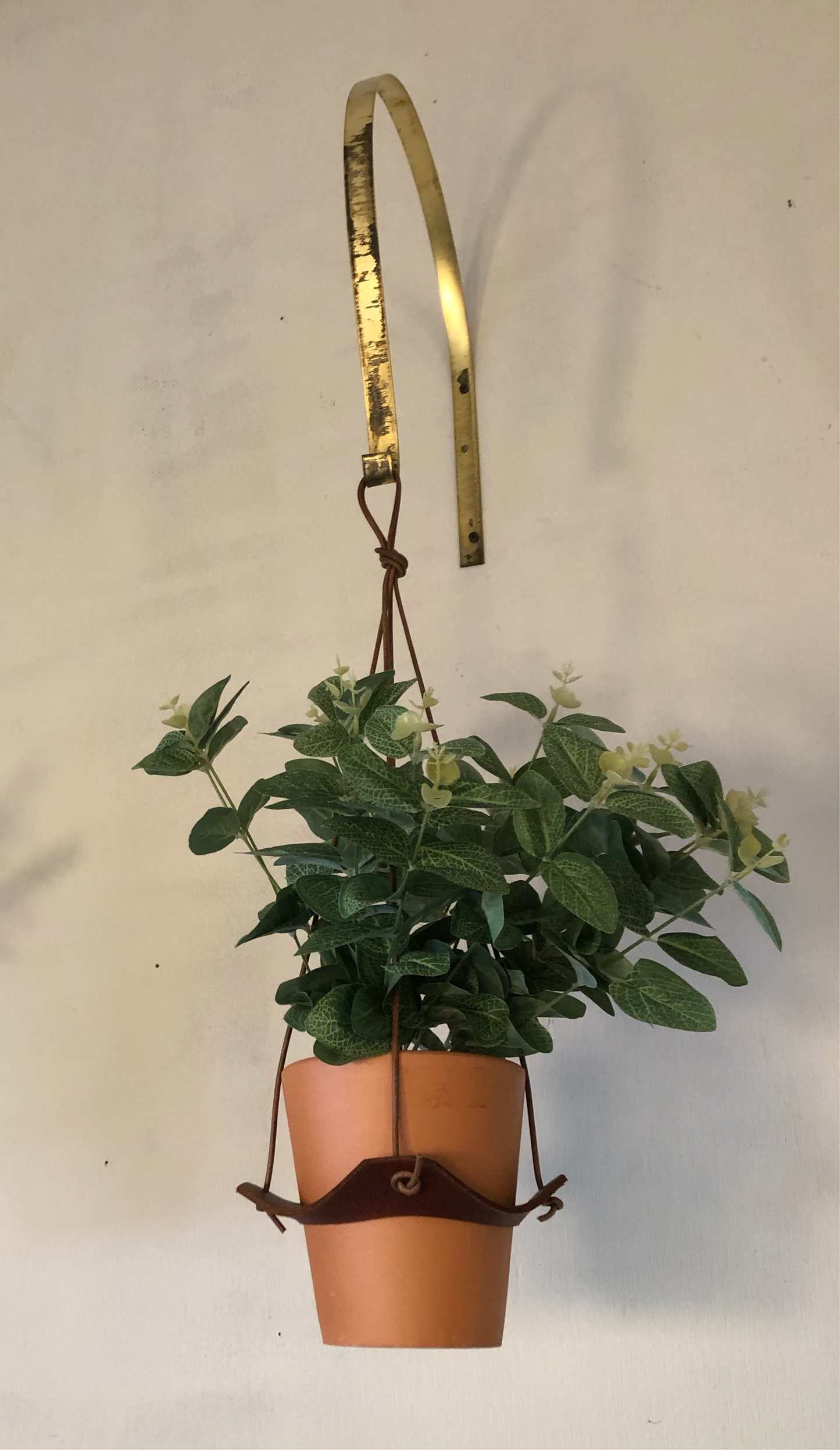 Leather plant holder