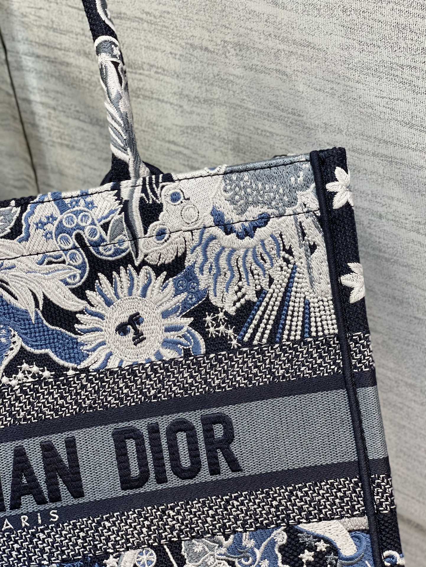 Christian Dior Book Tote Bag