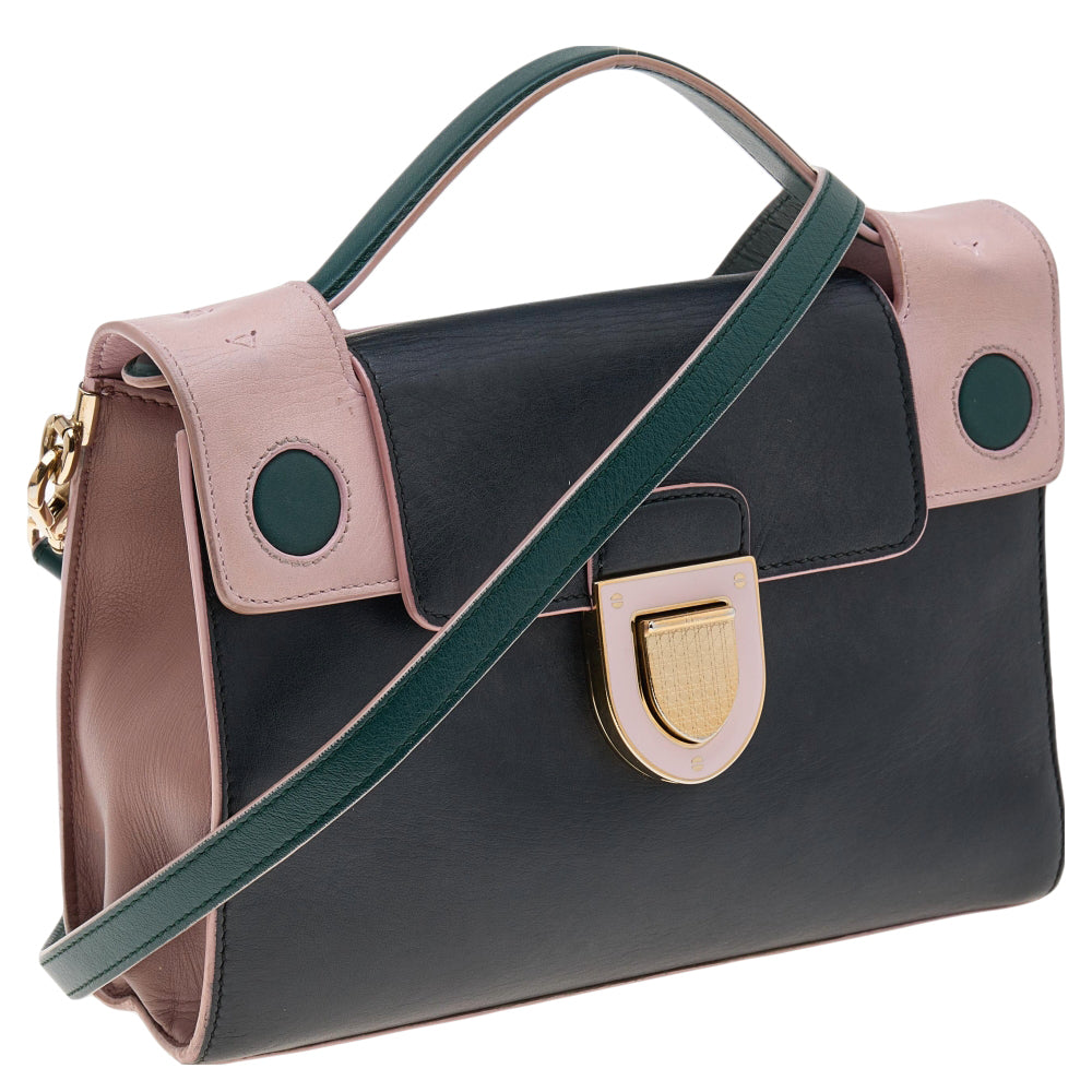 DIOR Multicolor Leather ever Top Handle Bag