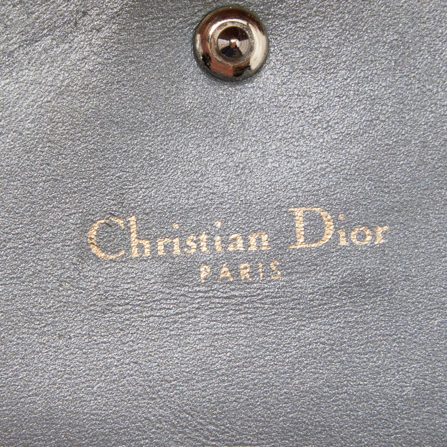 DIOR Metallic Green Leather ama Wallet on Chain