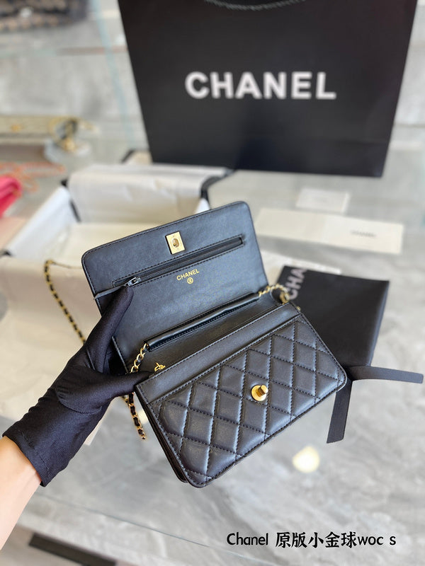 Women Designer Bags - Chanel Bags - 7251