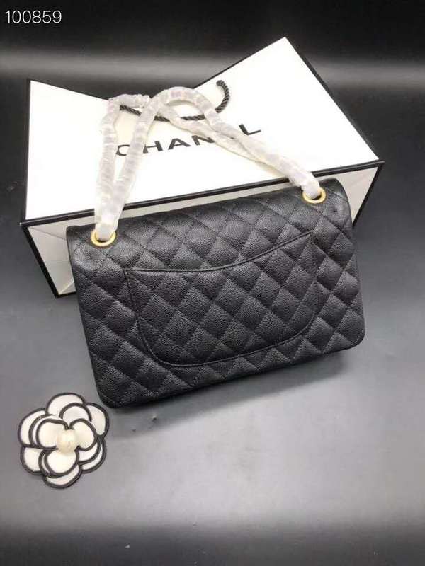 Chanel Bags - BG Bags - 769