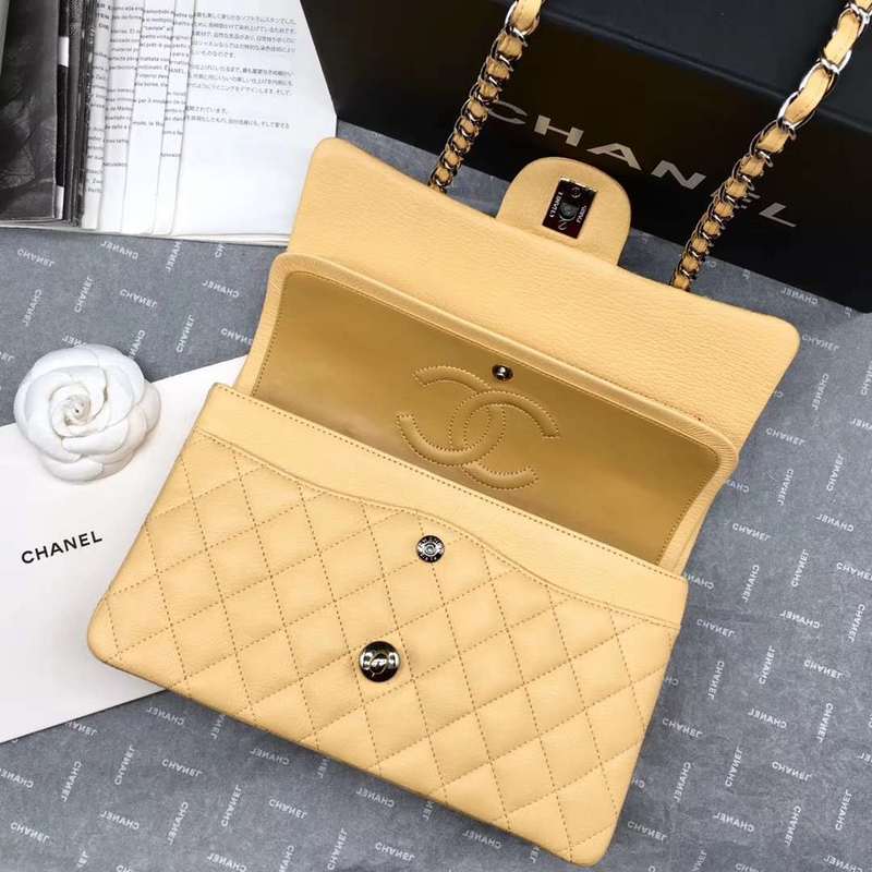 Chanel Bags - BG Bags - 778