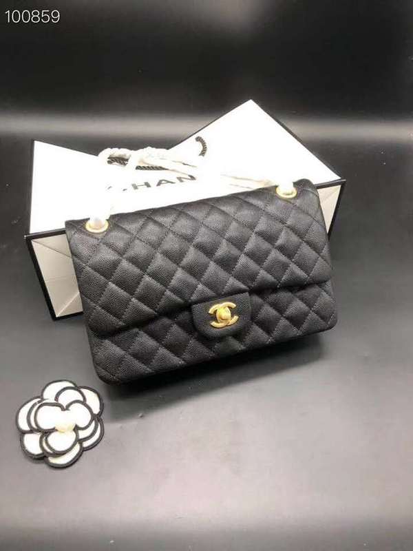 Chanel Bags - BG Bags - 769