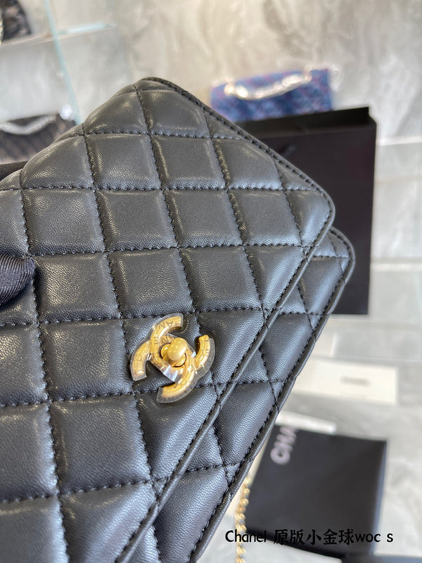 Women Designer Bags - Chanel Bags - 7251